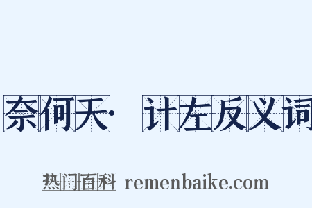 奈何天·计左反义词是什么意思的图片